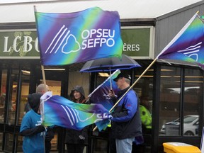 OPSEU members from the LCBO gather at the 905 Princess St. store on Saturday to protest the privatization of public services, including the sale of alcohol in grocery stores. (Steph Crosier/The Whig-Standard)