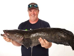 A Virginia angler holds a northern snakehead. This fish has also been found in an urban pond in B.C.