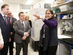 Dr. Janet McElhaney gives a tour of the research lab at Health Science North to Kim Rudd, parliamentary secretary to the minister of Natural Resources, and MPs Paul Lefebvre and Marc Serre, following a funding announcement in Sudbury, Ont. on Monday February 27, 2017. Gino Donato/Sudbury Star/Postmedia Network