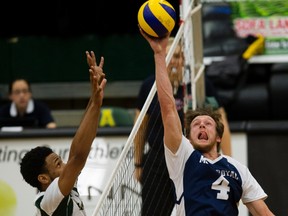 University of Alberta Golden Bears' Taryq Sani (14) battles the Mount Royal Cougars' Samuel Brisbane (4), at the Saville Centre in Edmonton Saturday Feb. 4, 2017. The two teams meet again this weekend in the Canada West quarter-final.