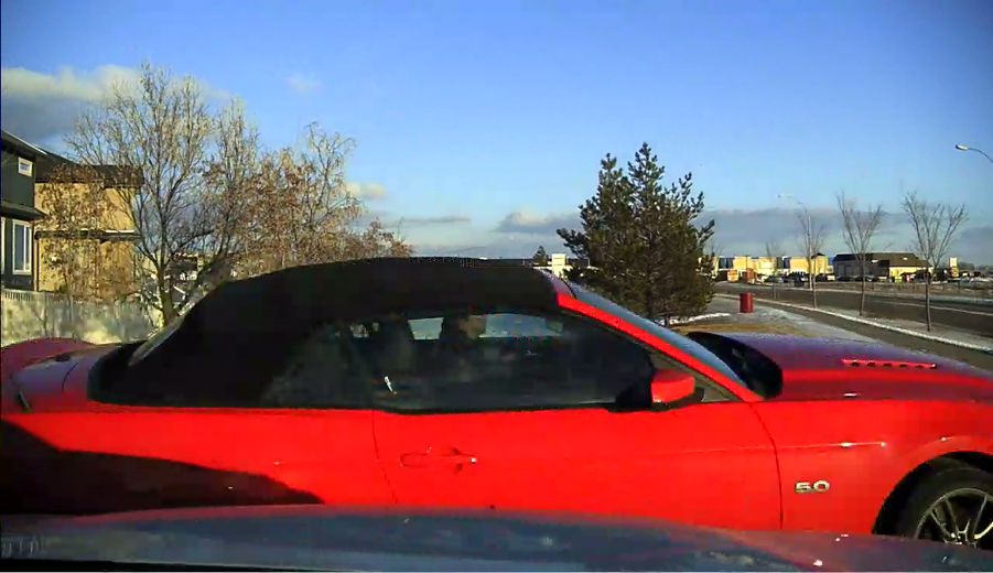 Beaumont RCMP searching for driver Mustang Edmonton Sun