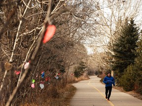 A runner passes the Reconciliation in Solidarity Edmonton Healing Forest along River Valley Road in Edmonton, Alberta on Friday, November 25, 2016. Ian Kucerak / Postmedia
