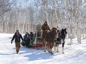 People are taken on a sleigh ride at the Kivi Park Winter Karnival in Sudbury, Ont. on Saturday March 4, 2017. The carnival included games for children and adults, snow sculptures, pony rides, a bonfire, snowshoeing, cross-country skiing, fat bike trail rides and skating. John Lappa/Sudbury Star/Postmedia Network