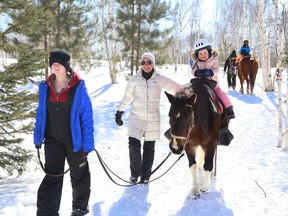 Kivi Park carnival