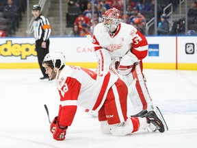 Ryan Sproul of the Detroit Red Wings calls for a trainer after being injured against the Edmonton Oilers on March 4, 2017 at Rogers Place in Edmonton. (Codie McLachlan/Getty Images)