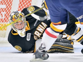 Justin Fazio of the Sarnia Sting. (Photo by Terry Wilson / OHL Images)