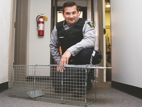 Town of Vulcan Peace Officer Justin Vallee demonstrates how a cat trap works.