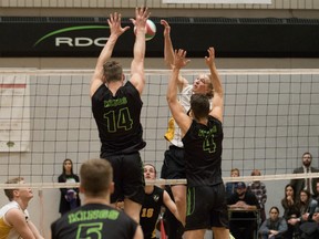Straining for the heights at the net during their victory in the ACAC men’s volleyball final are Red Deer College Kings Luke Brisbane (4) and Ty Moorman (14). The competing Medicine Hat College Rattlers are Isak Helland at the net and Dexter Mackie. Both teams enter the national final Wednesday in London, Ont., with second-seeded Red Deer facing the host Fanshawe College Falcons and fifth-seeded Medicine Hat drawn against B.C.'s Camosun College Chargers. (Tony Hansen/Red Deer College)
