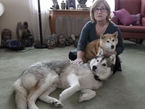 SafePet Ottawa founder Ayala Sher with her dogs, Calvin and Dolly. TONY CALDWELL / POSTMEDIA NETWORK