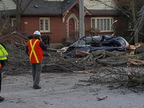 RICHARD WILLIAMS/FOR THE INTELLIGENCER
A 40-year-old woman was taken to hospital with injuries after a tree felled by high winds hit her car and trapped her inside the vehicle on Bridge St. and William St. around 5:30 p.m. Wednesday. The Intelligencer had no new details on the incident before our print edition deadline.