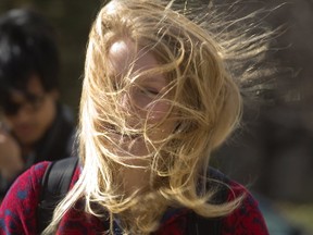 Aline Belzil, of Edmonton, is obscured by her hair as she walks in high winds through Western's campus on Wednesday March 8, 2017. The high winds didn't both Belzil too much, as she noted with a laugh, "It's -20 in Edmonton today." Mike Hensen/The London Free Press/Postmedia Network