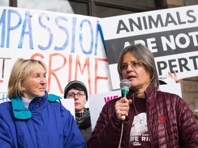 PETA president Ingrid Newkirk, left, listens to a speech by Anita Krajnc, right, who was charged with mischief after giving water to pigs on their way to slaughter, as they demonstrate outside of a Burlington courthouse ahead of closing arguments in her case, Thursday, March 9, 2017 in Burlington, Ont.