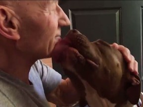 Sir Patrick Stewart is lovingly greeted by his new foster dog, Ginger. (Screengrab)