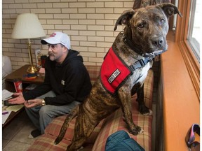 William Jewitt with his service dog, Teeka, that looks like a pit bull. He’s run into a couple of cases of discrimination since arriving in Ottawa a few days ago. A taxi driver, a church pastor…both of whom would not deal with him. Wayne Cuddington/Postmedia WAYNE CUDDINGTON / POSTMEDIA