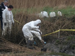 Police officers search on the swampy bank of the river Aulne near the Caouissin's house in Pont-de-Buis-lès-Quimerch, western of France, on March 9, 2017 (AFP/GETTY IMAGES)