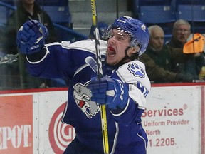 Dmitry Sokolov, of the Sudbury Wolves,  celebrates his second goal during OHL action against the Barrie Colts at the Sudbury Community Arena in Sudbury, Ont. on Friday March 10, 2017. John Lappa/Sudbury Star/Postmedia Network