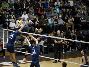 Men's volleyball action at the Canada West Universities Athletic Association Gold Medal Match between the U of M Bisons and Trinity Western Spartans at the University of Manitoba Investors Group Athletics Centre in Winnipeg, Man., on Saturday, March 11, 2017. The Spartans defeated the Bisons 3-2 (25-21,27-29,16-25,25-20,15-9)(Brook Jones/Selkirk Journal/Postmedia Network)