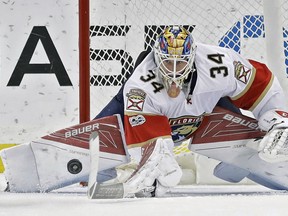 Florida Panthers goalie James Reimer makes a save on a shot by the Tampa Bay Lightning during an NHL game on March 11, 2017. (AP Photo/Chris O'Meara)