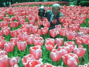 Photographer Malak Karsh dreamed up the idea of Ottawa's Tulip Festival.