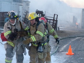 Cramahe and Brighton firefighters carry a dog to safety at the scene of a barn fire. The Cramahe crew were called to the scene at 420 Waites Rd. (on the eastern edge of the township) at about 6:39 a.m. Thursday, and they immediately notified Brighton for assistance. First units found the barn totally engulfed in flames, and there was nothing they could do to save the structure, which housed more than 100 sheep, three cows, a tractor, manure spreader and a 1963 pickup. Fire fighters did spot and rescue a dog tied to a leash beside the barn. It was suffering from burns and smoke inhalation, and was taken to a veterinary clinic for treatment.
Pete Fisher