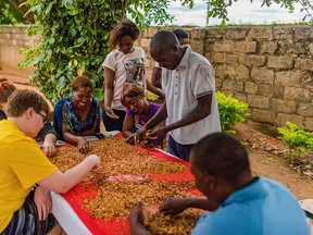 Lambton College students help people in Zambia sort peanuts for a new peanut butter factory that's helping locals with food security and financial sustainability. Enactus Lambton received an award March 10 in Mississauga for their contributions to the project. (Submitted)