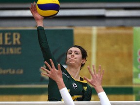 University of Alberta Pandas outside hitter Meg Casault attacks a ball against the UBC Thunderbirds in the gold medal final of the Canada West Final Four tournament at the Saville Centre in Edmonton on Sunday, March 11, 2017. (Ed Kaiser)