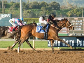 Shaman Ghost has earned over $3.5 million, second amongst Canadian-bred thoroughbreds. AP
