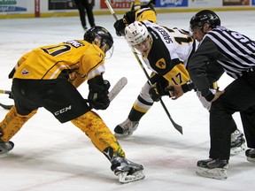 Kingston Frontenacs`Sam Harding, left, and Hamilton Bulldogs`Brandon Saigeon line up for a faceoff during OHL action at the Rogers K-Rock Centre on March 17. The teams will meet in a first-round playoff series, which opens Friday night in Kingston. (Stephanie CrosieréThe Whig-Standard)