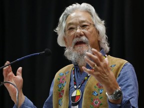 Environmentalist  David Suzuki is pictured while speaking at a climate change conference in Winnipeg in November 2016. (THE CANADIAN PRESS)