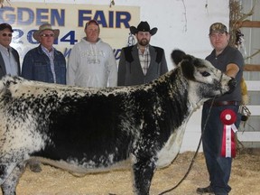 Dave McKillop, right, of Fleetwood Speckle Park, Iona Station, was at the Brigden Fair's Speckle Park cattle show in 2014, a few years after purchasing his first Speckle Park cattle. The Canadian breed is becoming popular among Ontario beef farmers.