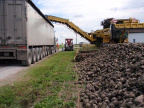 CTW16_Sugar_Beets - CTW - 3/21