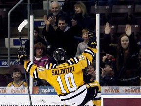 Anthony Salinitri and the Sarnia Sting want to celebrate after their first-round playoff series against the Erie Otters. (MARK MALONE/Postmedia Network)