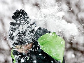 12-year-old David Laurin laughs while getting bombarded with snow during a snowball fight with friends at the Dominion Arboretum on Friday, December 28, 2007.