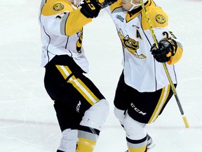 Jordan Kyrou, right, and Drake Rymsha celebrate the Sarnia Sting's first goal against the Erie Otters in Game 1 of their OHL Western Conference quarter-final Thursday at Erie Insurance Arena in Erie, Pa. (JACK HANRAHAN/Erie Times-News)