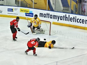 Canadian National Blind Hockey Tournament