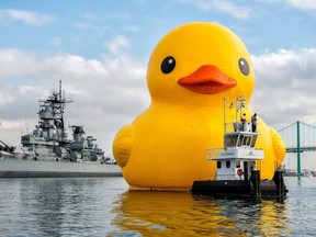 A giant rubber ducky will be an attraction for Canada's 150th anniversary this summer. (SUPPLIED/Redpath Waterfront Festival)
