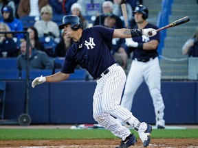 Gary Sanchez had a monster half-season for the Yankees last year and is already threatening Buster Posey for the No. 1 overall catcher ranking. (John Raoux, AP)