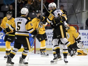 Hamilton Bulldogs players celebrate one of the five goals they scored during the second period of a 5-4 OHL playoff win over the Kingston Frontenacs at the K-Rock Centre on Sunday. (Steph Crosier/The Whig-Standard)