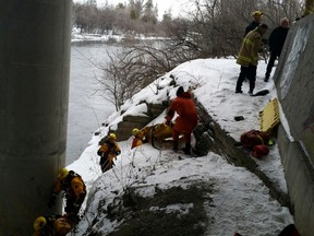 Ottawa Fire Water & High Angle Teams rescued a person from the Ottawa River by the Mill St restaurant. Scott Stilborn, Twitter