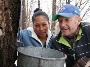 Richard Despatie and his wife Yuleiby watch sap drip into a bucket at Despatie Maple Sugar Bush in Sudbury, Ont. on Monday March 27, 2017. Gino Donato/Sudbury Star/Postmedia Network