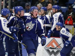 Sudbury Wolves winger Dmitry Sokolov celebrates his second-period goal with his teammates during Game 3 of the opening round playoff series against the Oshawa Generals at Sudbury Community Arena on Tuesday night. Gino Donato/The Sudbury Star