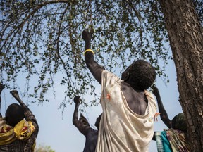 In this photo taken Friday, March 10, 2017, women pick leaves from a tree that they will later cook for dinner in the small village of Apada, near Aweil, in South Sudan. The world’s largest humanitarian crisis in 70 years has been declared in three African countries on the brink of famine, just as President Donald Trump’s proposed foreign aid cuts threaten to pull the United States back from its historic role as the world’s top emergency donor. (Mackenzie Knowles-Coursin/UNICEF via AP)
