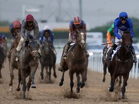 Jockey Christophe Soumillon  rides Thunder Snow to win the UAE derby at the Dubai World Cup.(AFP)