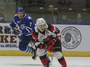 Michael Little of the Mississauga Steelheads (left) and Artur Tyanulin of the Ottawa 67’s. These teams have been going head-to-head in a contentious series. (Veronica Henri/Postmedia Network)