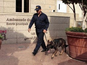 A K-9 security officer and his partner are deployed in front of the Canada embassy in Cairo, Egypt. (AP Photo/Ahmed Abdel Fattah)