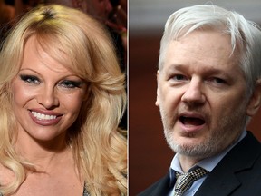 Pamela Anderson and Julian Assange. (Getty Images)