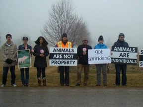 London Pig Save animal activist group went to Seaforth to protest in honour of the 500 pigs killed in a barn fire last week in Huron East. They posted out front of the farm where it happened protesting holding signs with animal cruelty quotes. (Photo courtesy of Facebook)