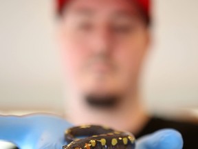 Matt Ellerbeck, the Salamander Man, holds a yellow spotted salamander native to much of Ontario. Ellerbeck is hosting a presentation on the amphibians at the Little Cataraqui Creek Conservation Area’s Outdoor Centre on Sunday afternoon. (Elliot Ferguson/The Whig-Standard)
