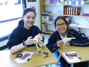 Students in the École secondaire du Sacré-Coeur Native Club had the opportunity to take part in a workshop featuring trapping and Metis culture on March 24. Supplied photo