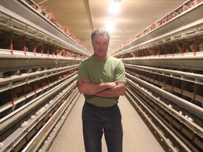 Ian McKillop, who owns a farm in Dutton, Ont., said changing his barns, which currently housing 46,000 laying-hens to the enriched cages will be a significant financial  burden. The Egg Farmers of Canada and the National Farm Animal Care Council developed a new code of practice prohibiting new battery cages. (Laura Broadley/Times-Journal)